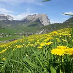 Fernblick 3* Schoppernau