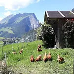 Fernblick Fruehstueckspension 3*
