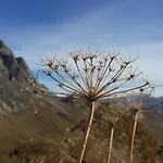 فندق مبيت وإفطار Fernblick Fruehstueckspension