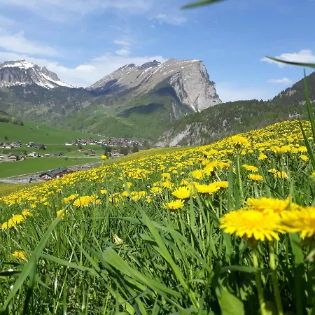 Fernblick Fruehstueckspension 3* Schoppernau