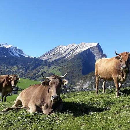 Fernblick Fruehstueckspension Bed & Breakfast Schoppernau