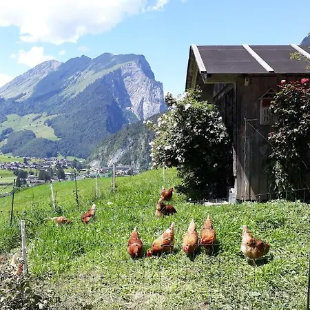 Fernblick Fruehstueckspension 3*