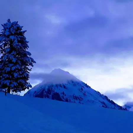 Fernblick Fruehstueckspension 3*