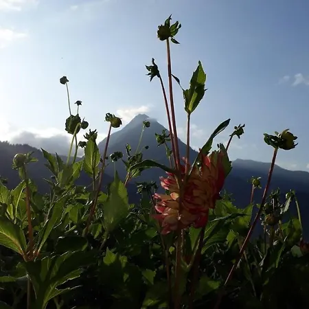Fernblick Fruehstueckspension