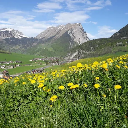 Fernblick Fruehstueckspension 3*