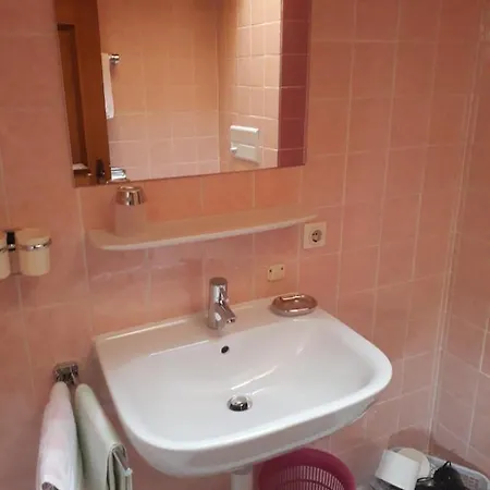 Fernblick Fruehstueckspension 住宿加早餐酒店 施科佩尔瑙