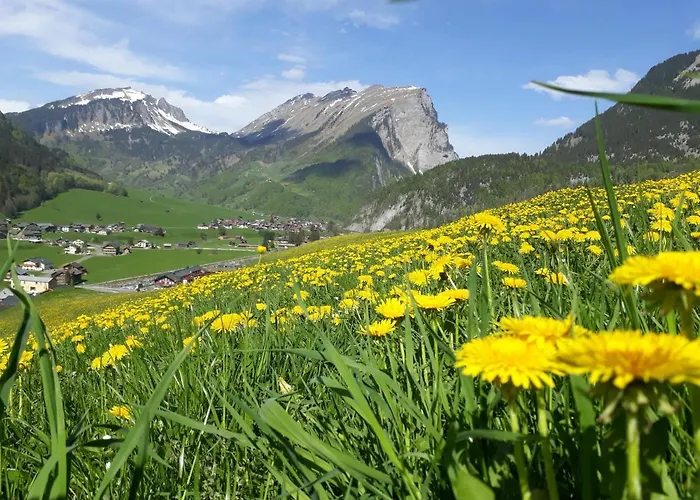 Fernblick Fruehstueckspension 3* Schoppernau
