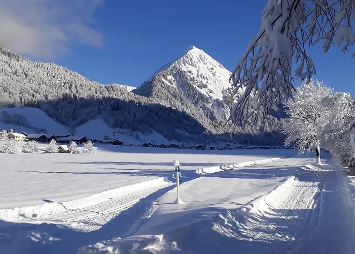 Fernblick Fruehstueckspension Schoppernau